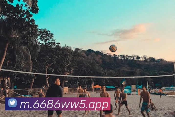 6686APP 封面图